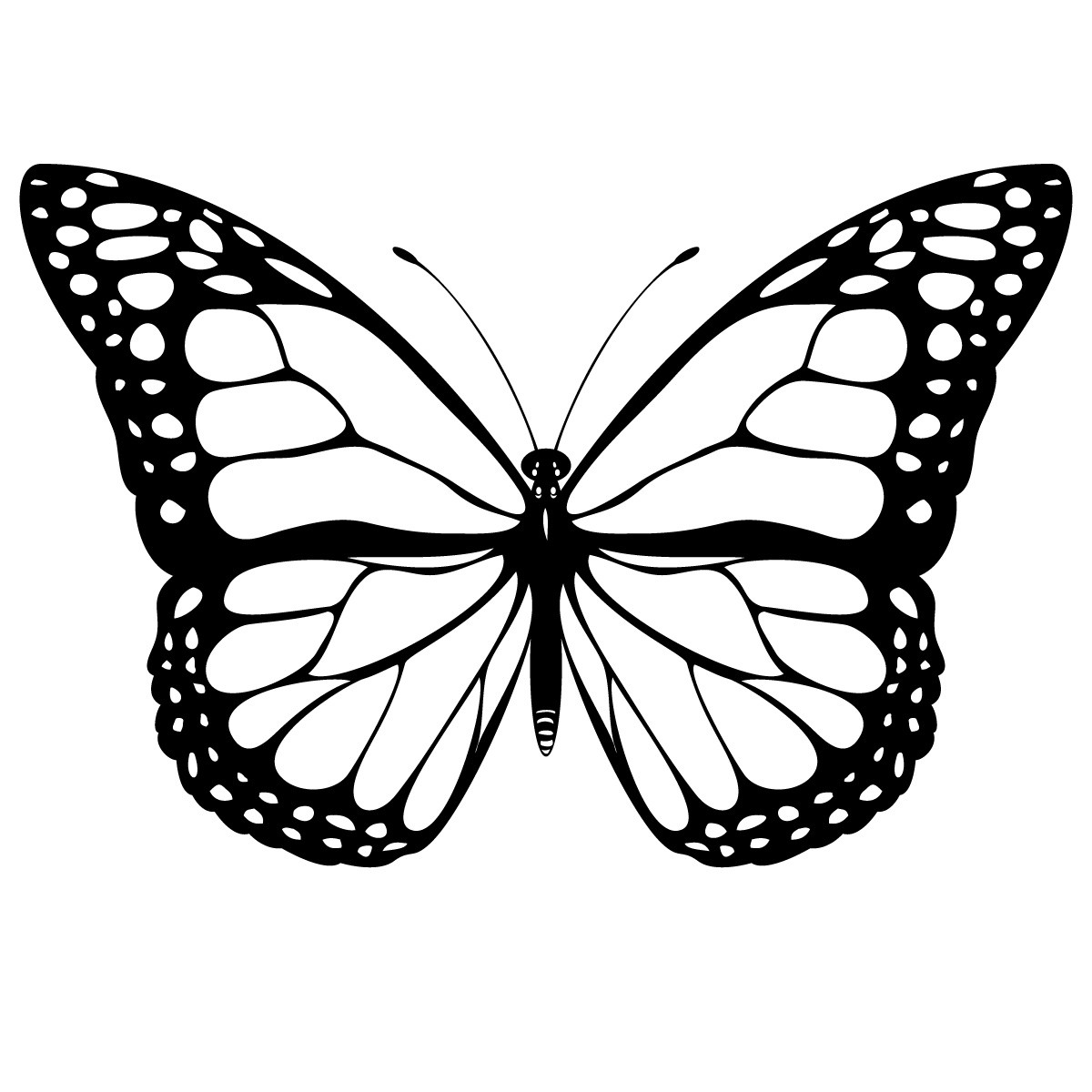colors of n<strong>a</strong>ture 21 butterfly coloring pages and