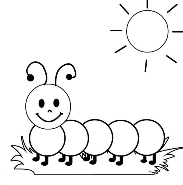 Metamorphosis 20 caterpillar coloring pages and pictures