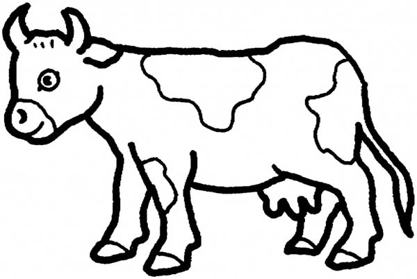 29 cow coloring pages for kids  Print Color Craft