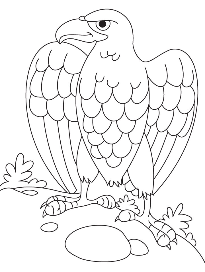 eagle coloring pages for kids - photo #49
