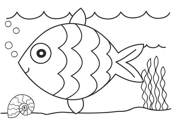 Mesmerizing Beauty 39 Fish Coloring Pages Crafts Pictures Printable Hooks