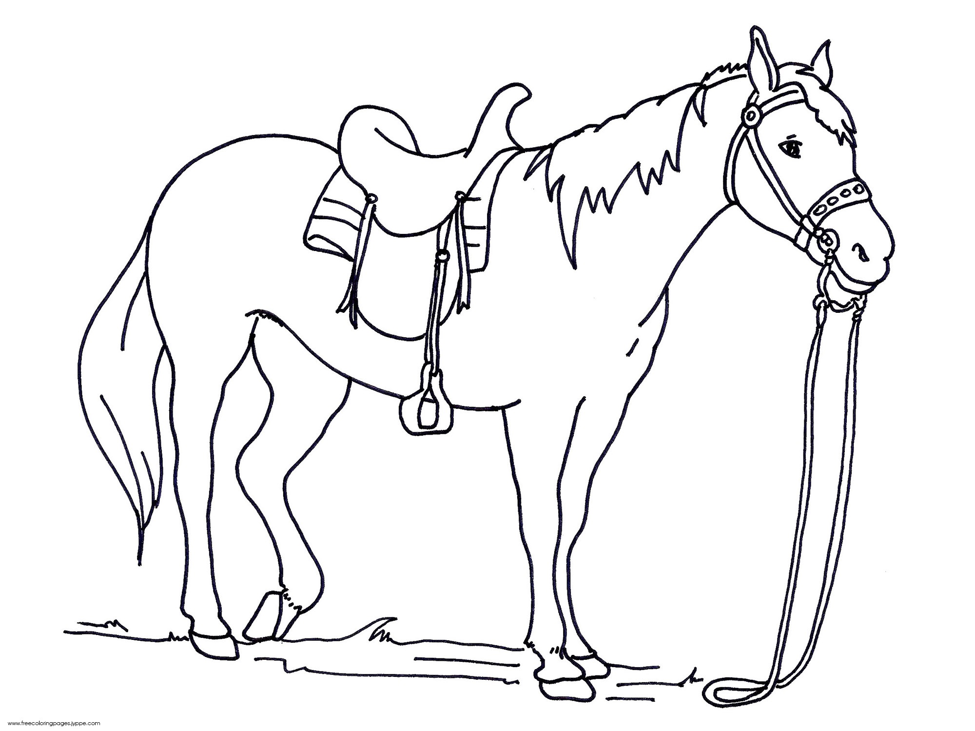 42 horse coloring pages Print Color Craft