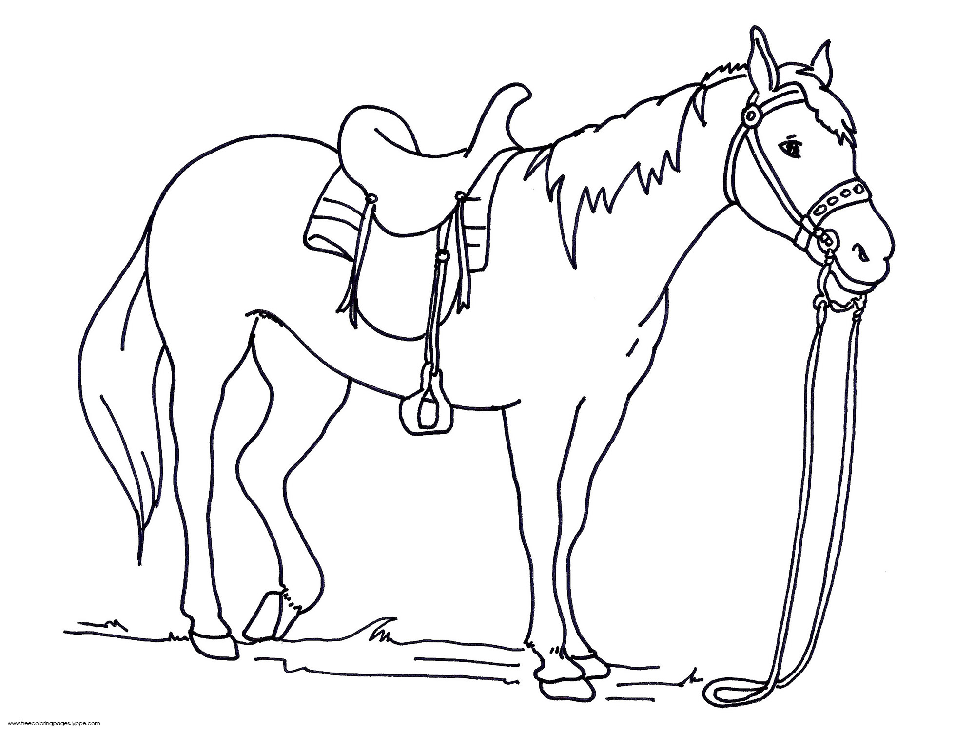 42 Horse Coloring Pages Print Color Craft