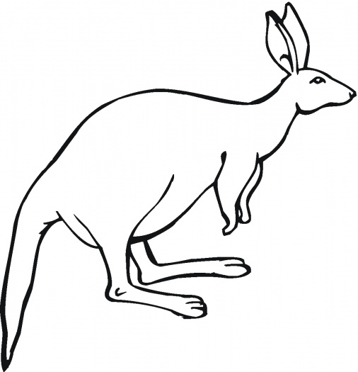 kangaroo footprint coloring pages - photo #42