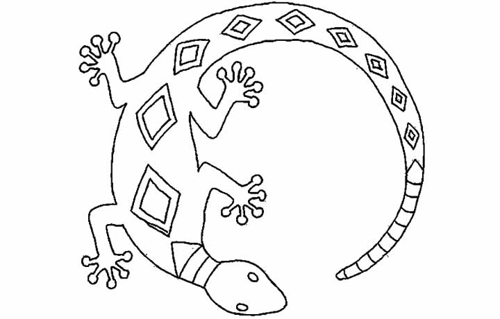 13 lizard coloring pages printable  print color craft