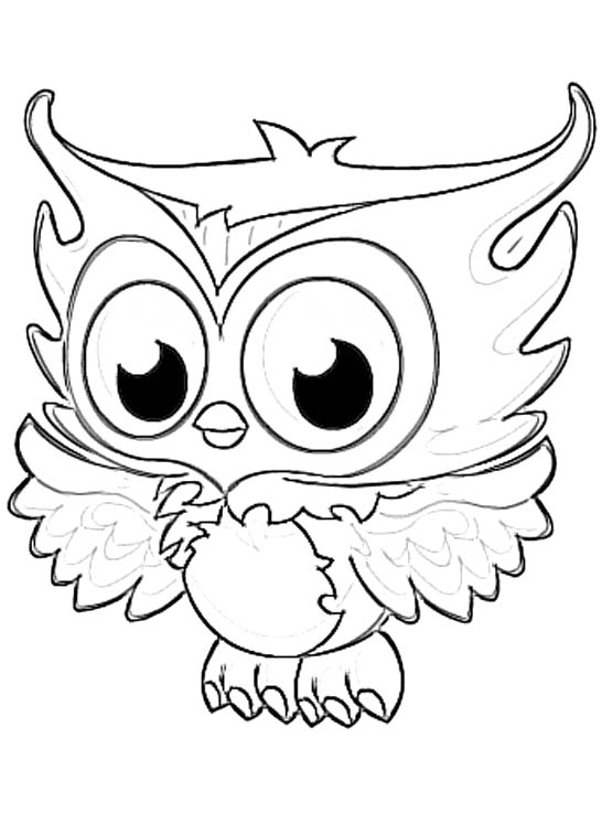 Nocturnal Bird Owl coloring pages 34 pictures cartoon clip ...