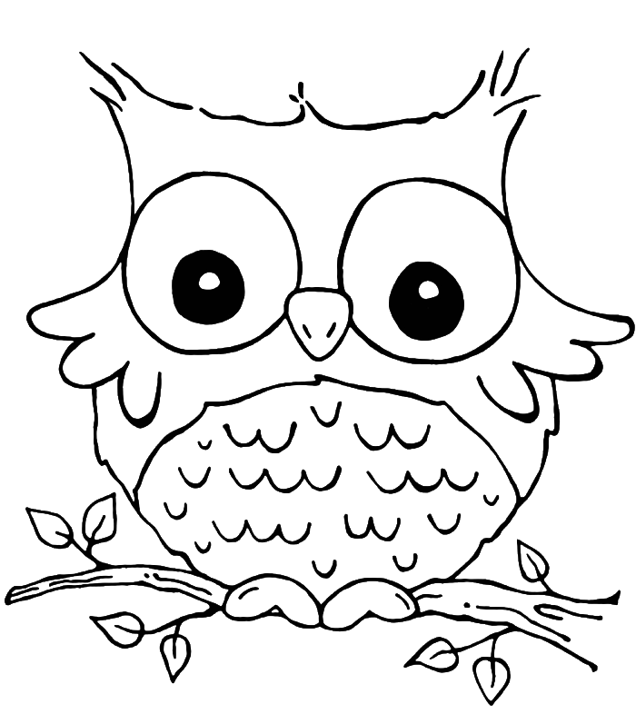 Nocturnal Bird Owl coloring pages 34 pictures cartoon clip arts - Print