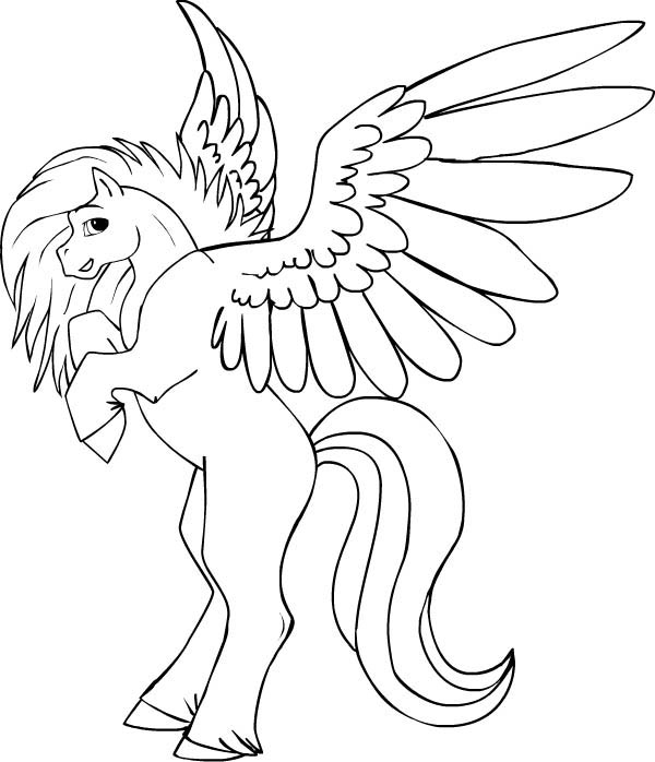 16 pegasus coloring pages for kids Print Color Craft