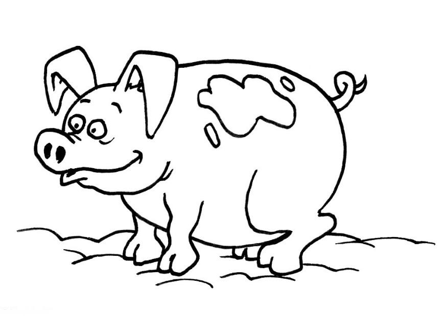 Funny creature 26 pig coloring pages for kids - Print Color Craft