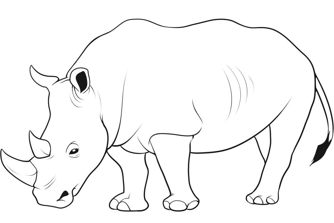 13 coloring pictures rhinoceros Print Color Craft