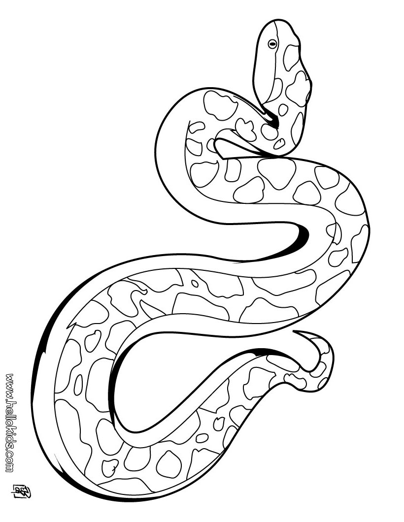 13 coloring pages of snake Print Color Craft