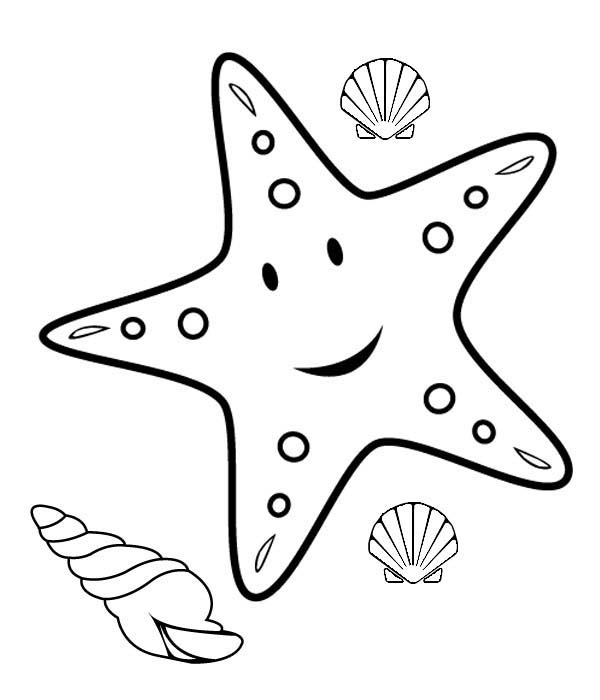11 Star fish coloring pages - Print Color Craft