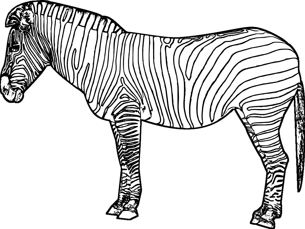 ideas for zebra coloring pages for toddlers