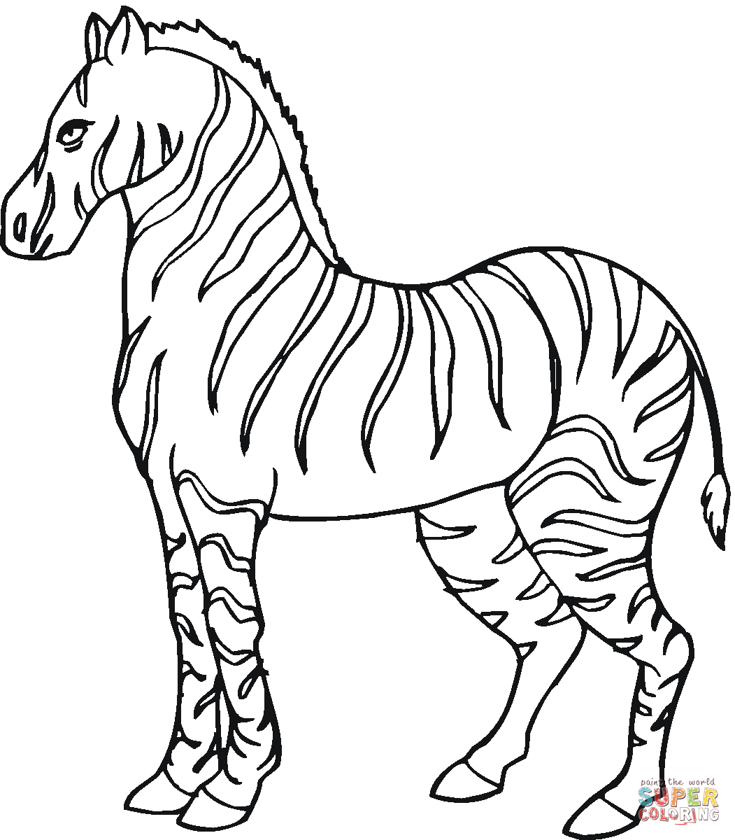Free Printable Zebra Coloring Pictures