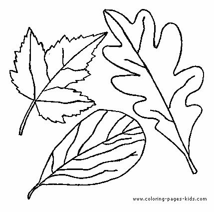 9 printable leaf coloring pages - Print Color Craft