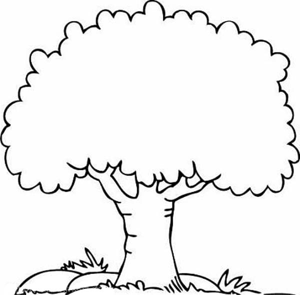 26 tree coloring page to print - Print Color Craft