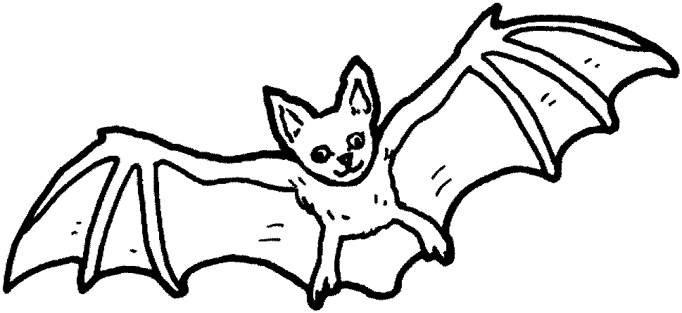 Halloween Bat Coloring Pages - Print Color Craft