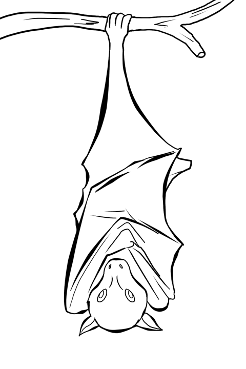 bat coloring pages 11,printable,coloring pages