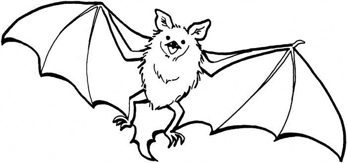 bat coloring pages printable,printable,coloring pages