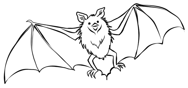 coloring pictures bat,printable,coloring pages