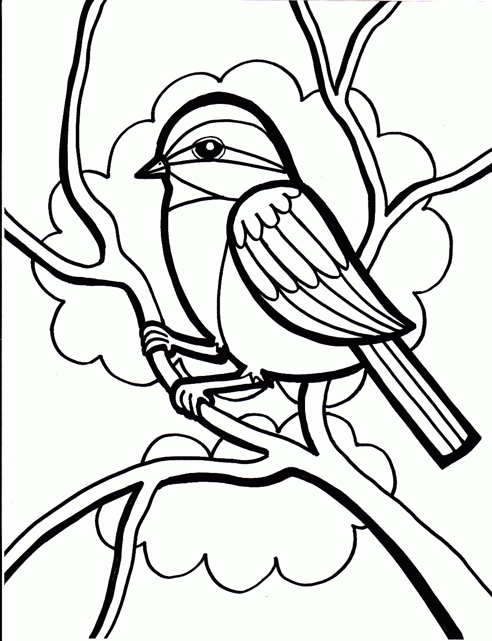 39 bird coloring pages printable - Print Color Craft