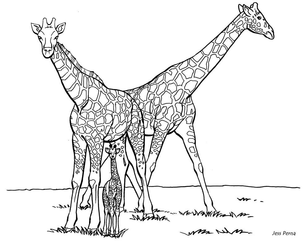 giraffe coloring page to print,printable,coloring pages