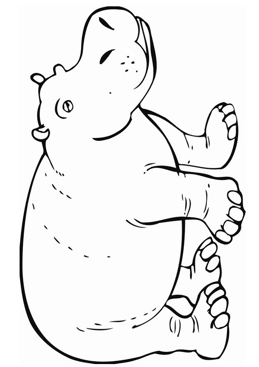 coloring pictures hippo,printable,coloring pages