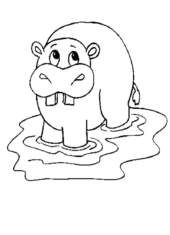 hippo coloring page to print,printable,coloring pages