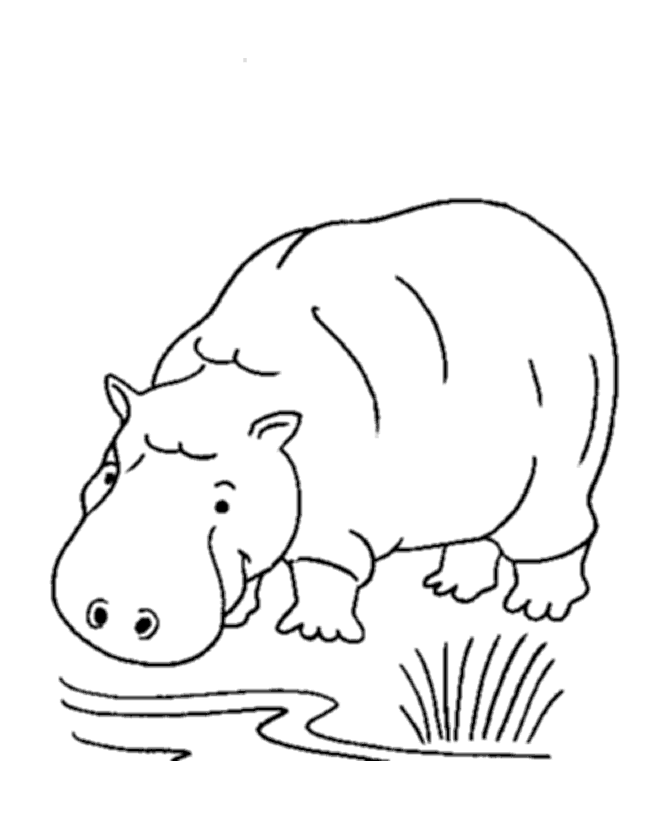 hippo coloring pages 11,printable,coloring pages