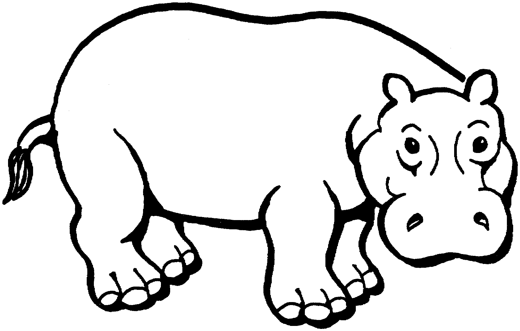 hippo coloring pages 12,printable,coloring pages