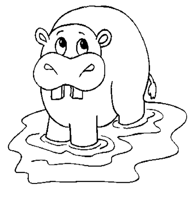 hippo coloring pages for kids,printable,coloring pages