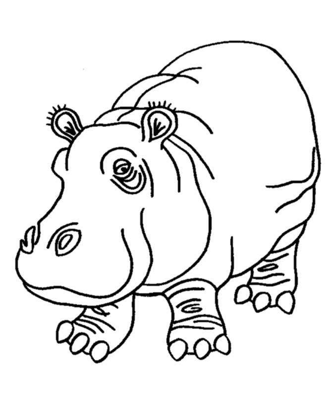 printable hippo coloring pages,printable,coloring pages
