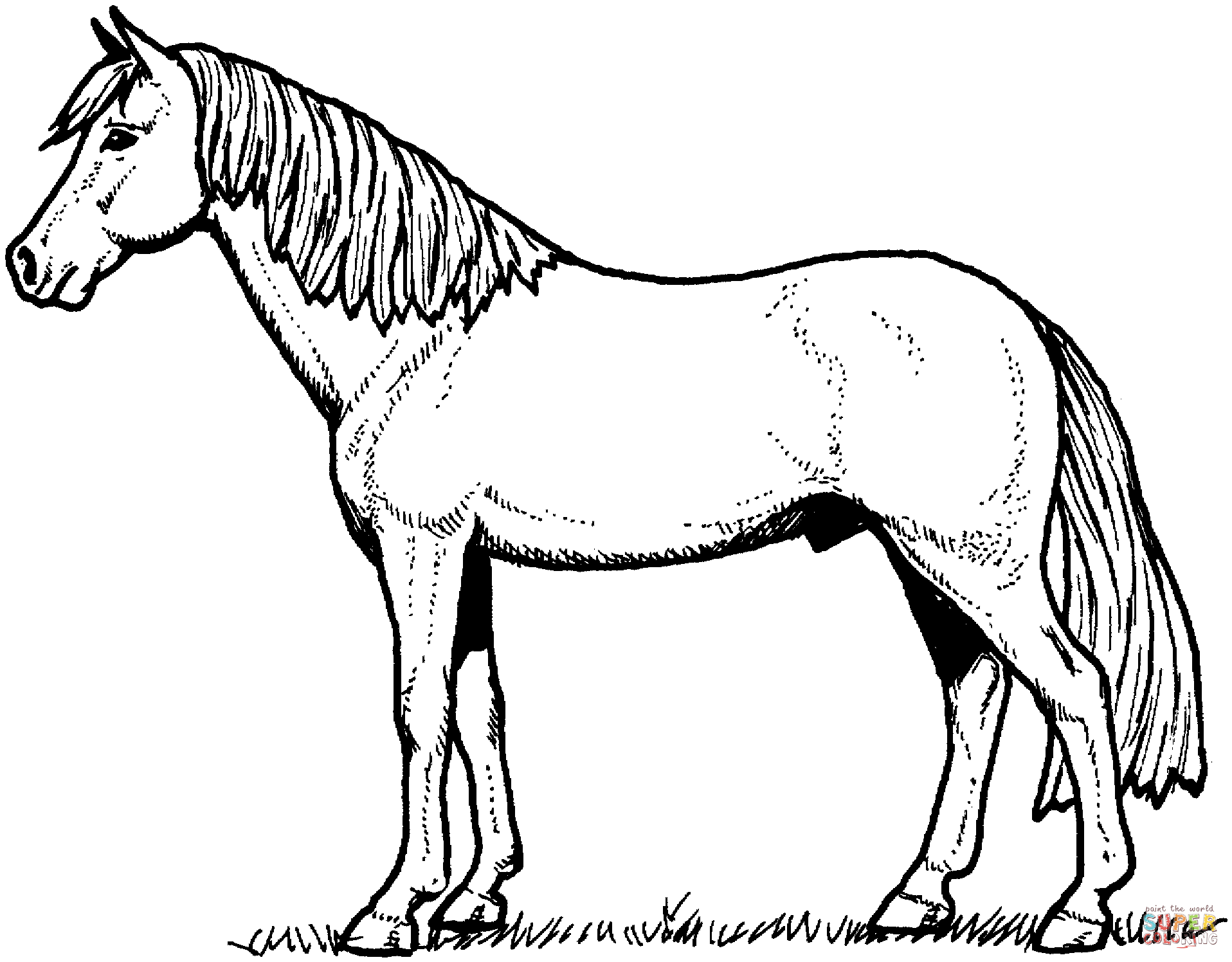 horse coloring pages,printable,coloring pages