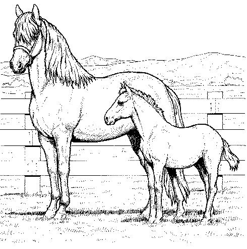 horse coloring pages 15,printable,coloring pages