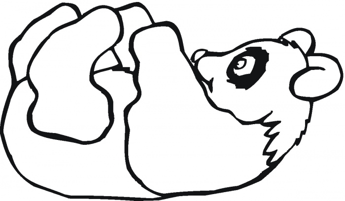 coloring pages of panda,printable,coloring pages