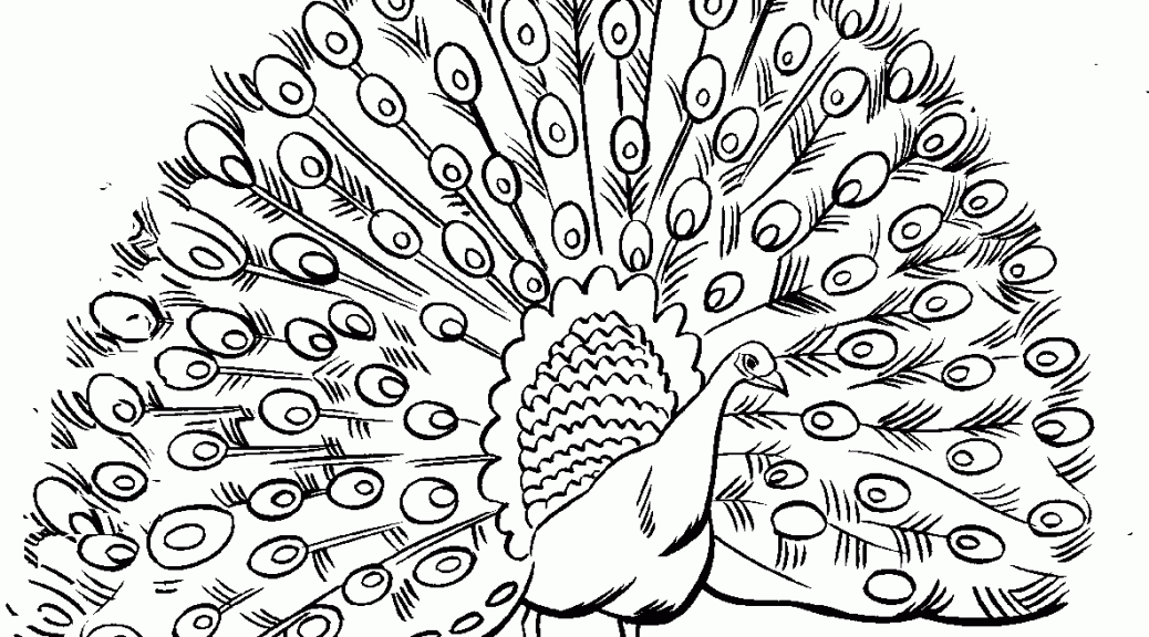 peacock coloring pages,printable,coloring pages