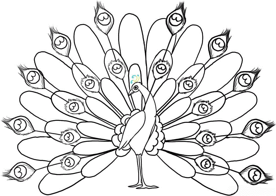 peacock coloring pages for kids,printable,coloring pages