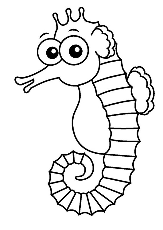 coloring pages of seahorse,printable,coloring pages