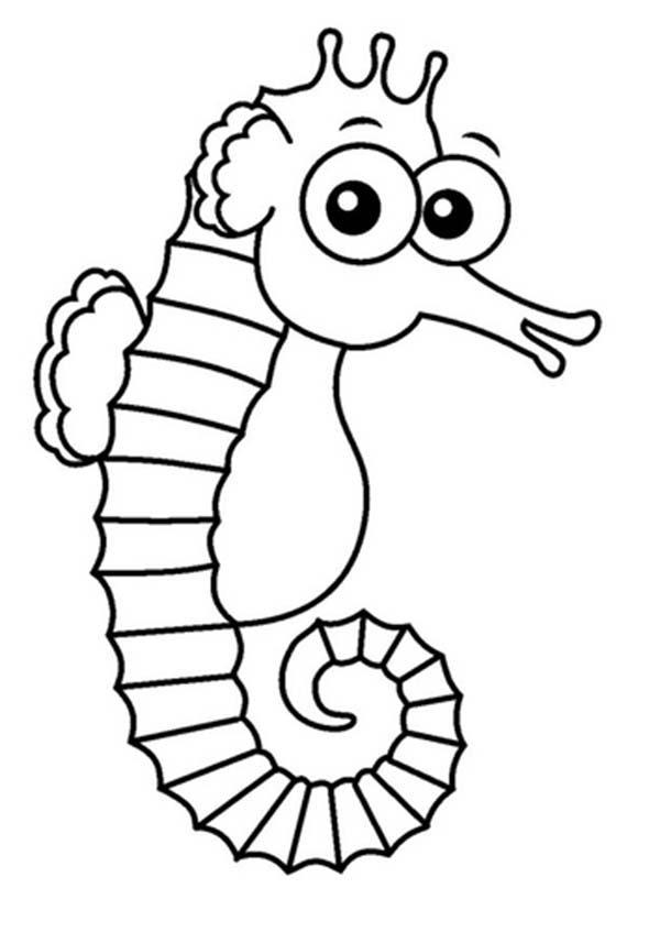 coloring pictures seahorse,printable,coloring pages