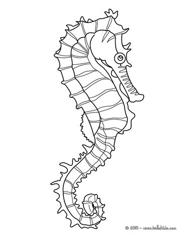 kids coloring pages seahorse,printable,coloring pages