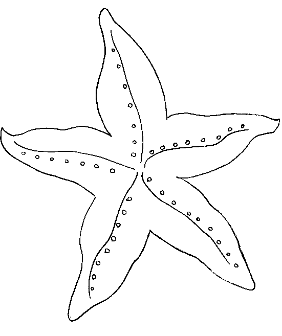 printable pictures of starfish page,printable,coloring pages