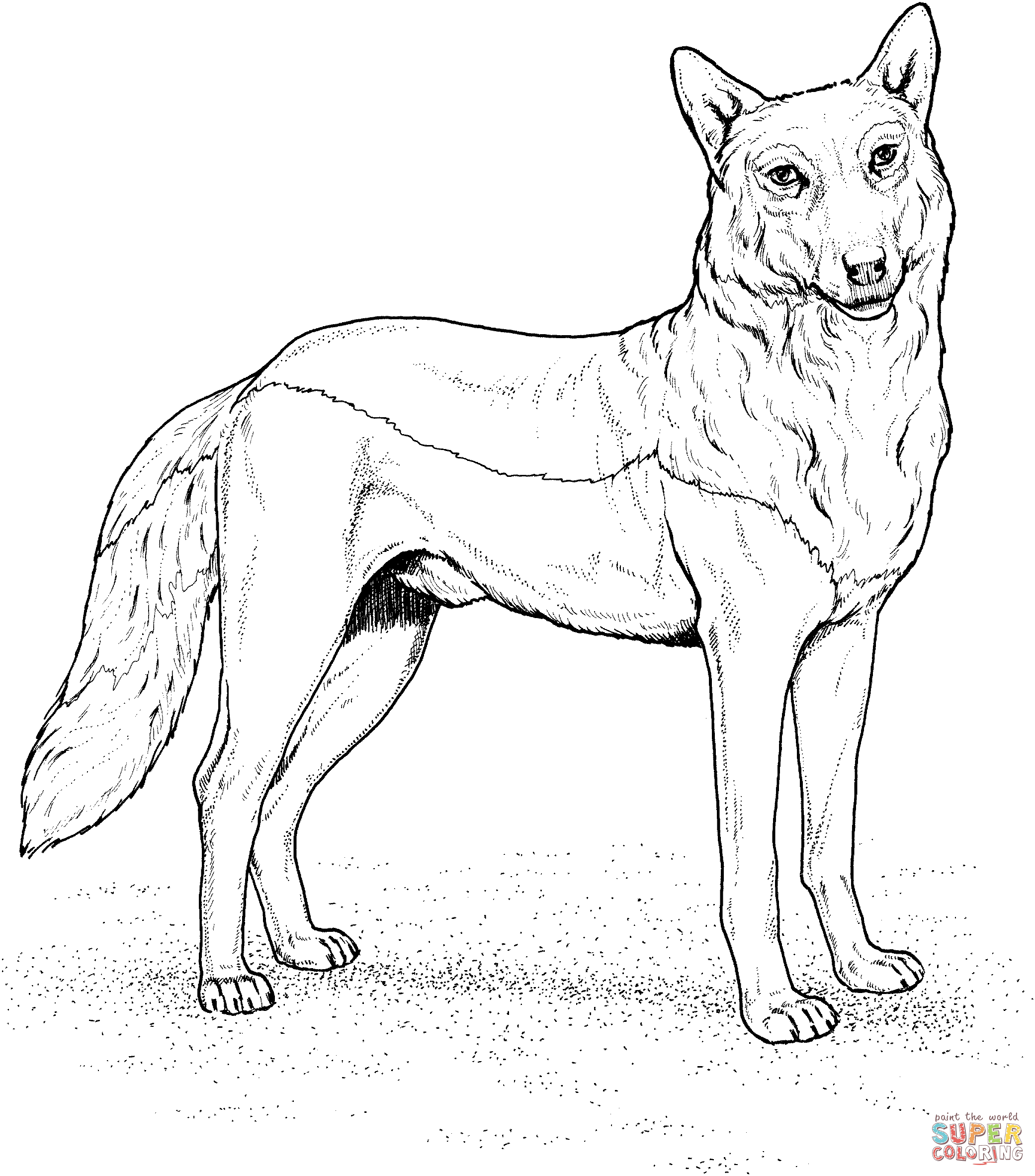 wolf coloring page,printable,coloring pages