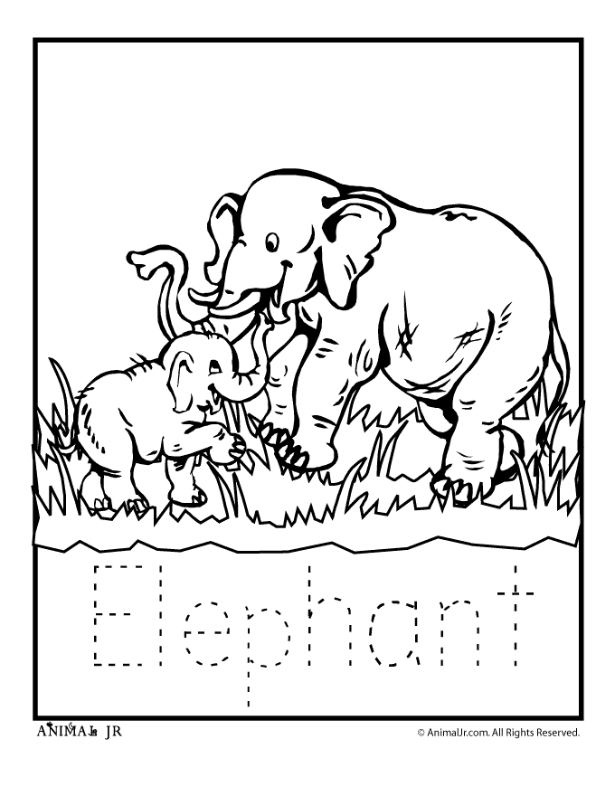 zoo coloring pages for kids,printable,coloring pages
