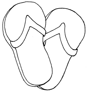 flip-flop coloring pages printable,printable,coloring pages