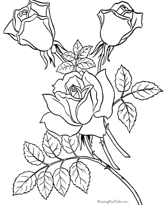 coloring pages of roses,printable,coloring pages