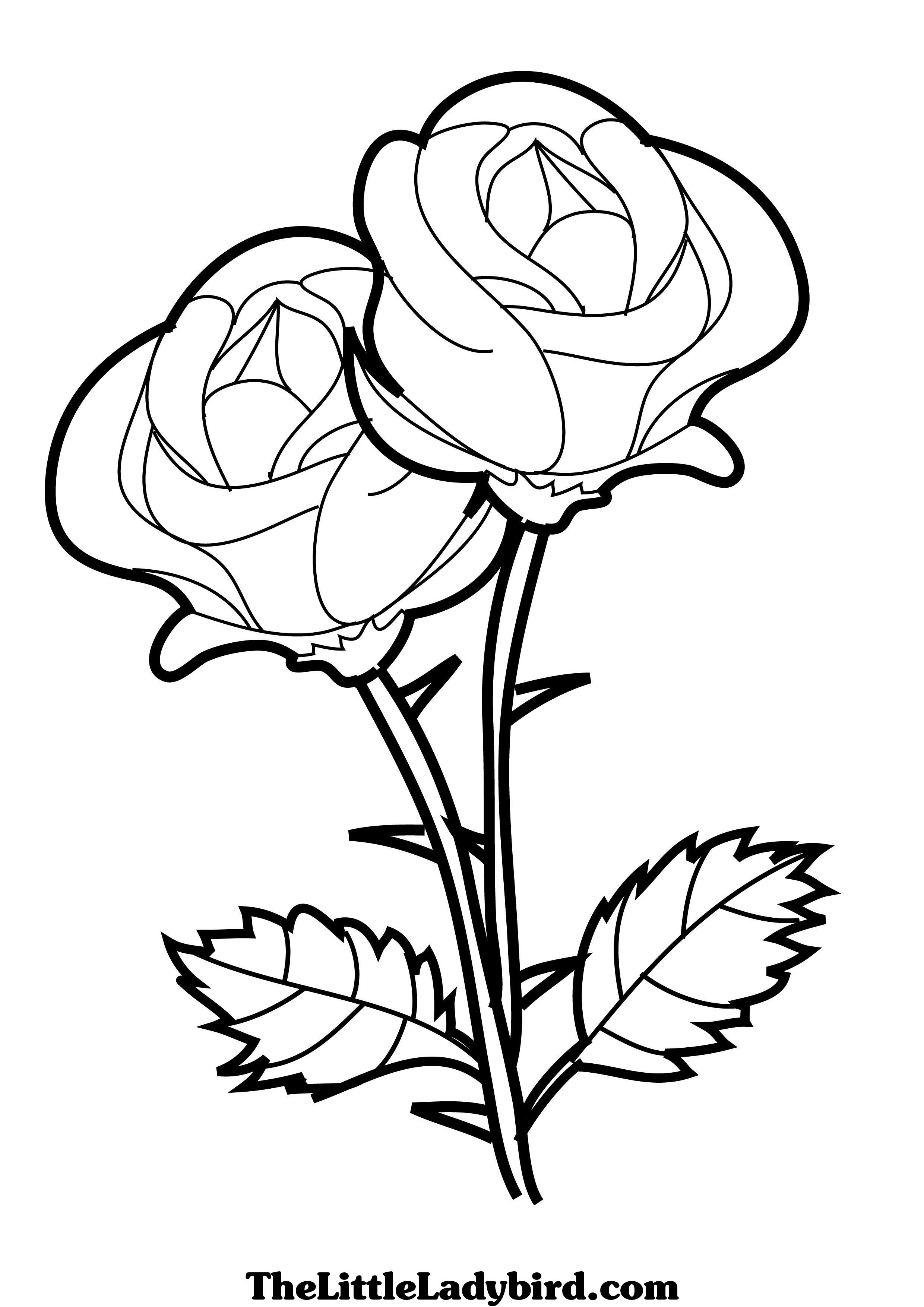 kids coloring pages roses,printable,coloring pages