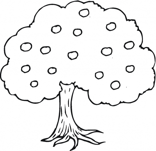 tree coloring page,printable,coloring pages