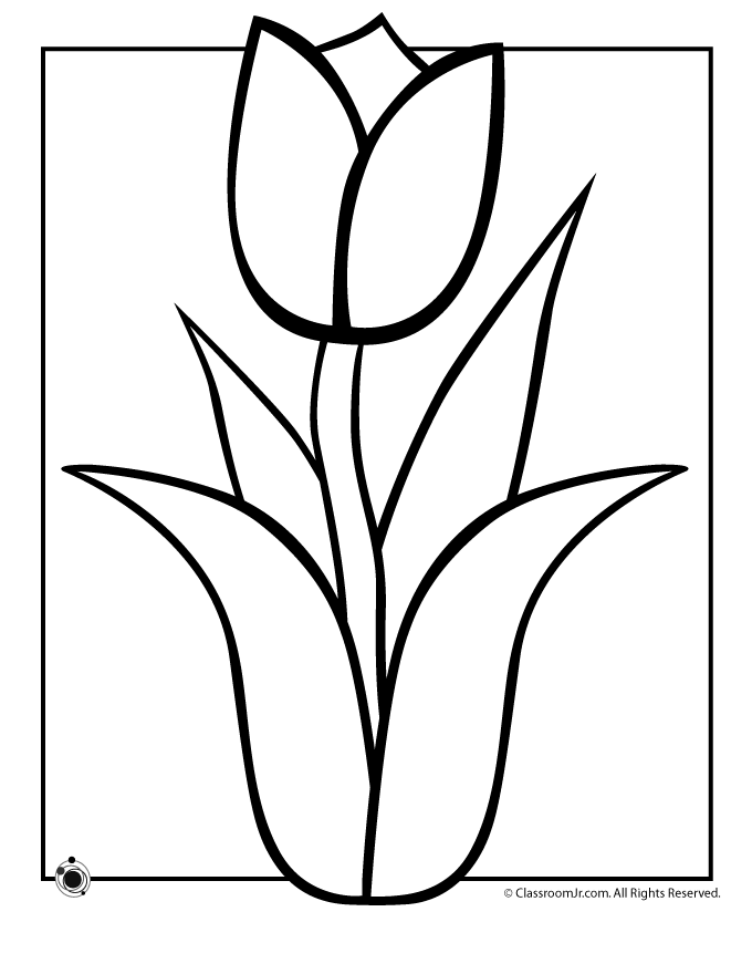 coloring pictures tulip,printable,coloring pages