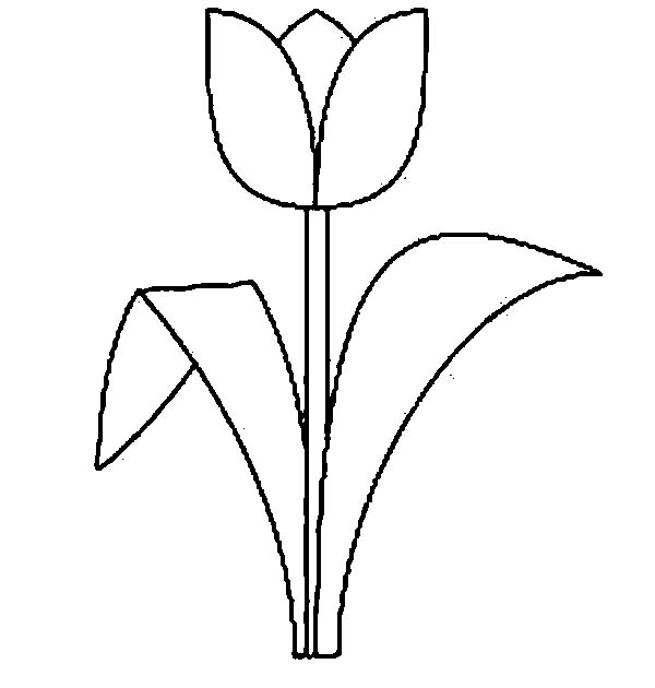 tulip coloring page to print,printable,coloring pages
