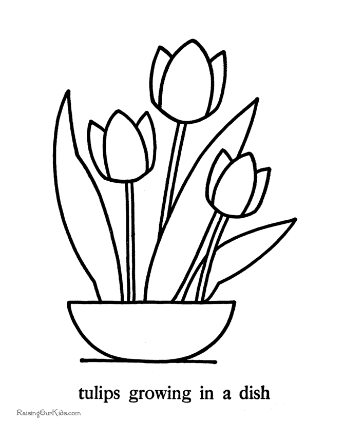 tulip coloring pages for kids,printable,coloring pages